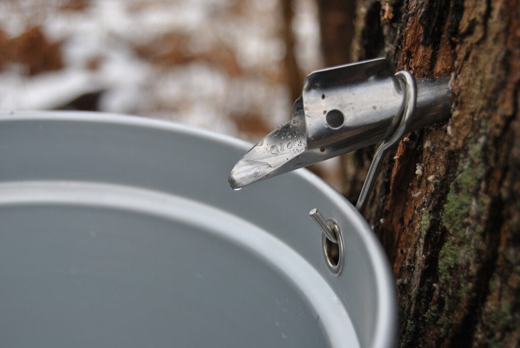 tap with sap bucket